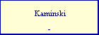  Kaminski