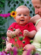 pict1325.jpg [145x193]